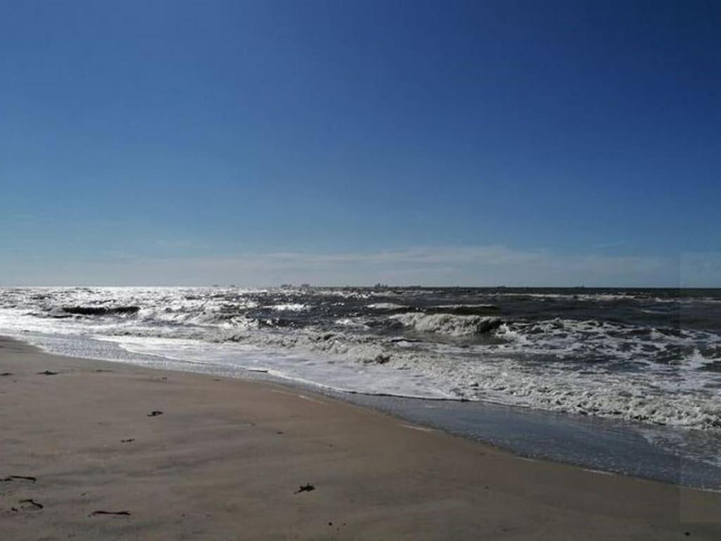 Bright Holiday Home In Noordwijk Near Sea 外观 照片