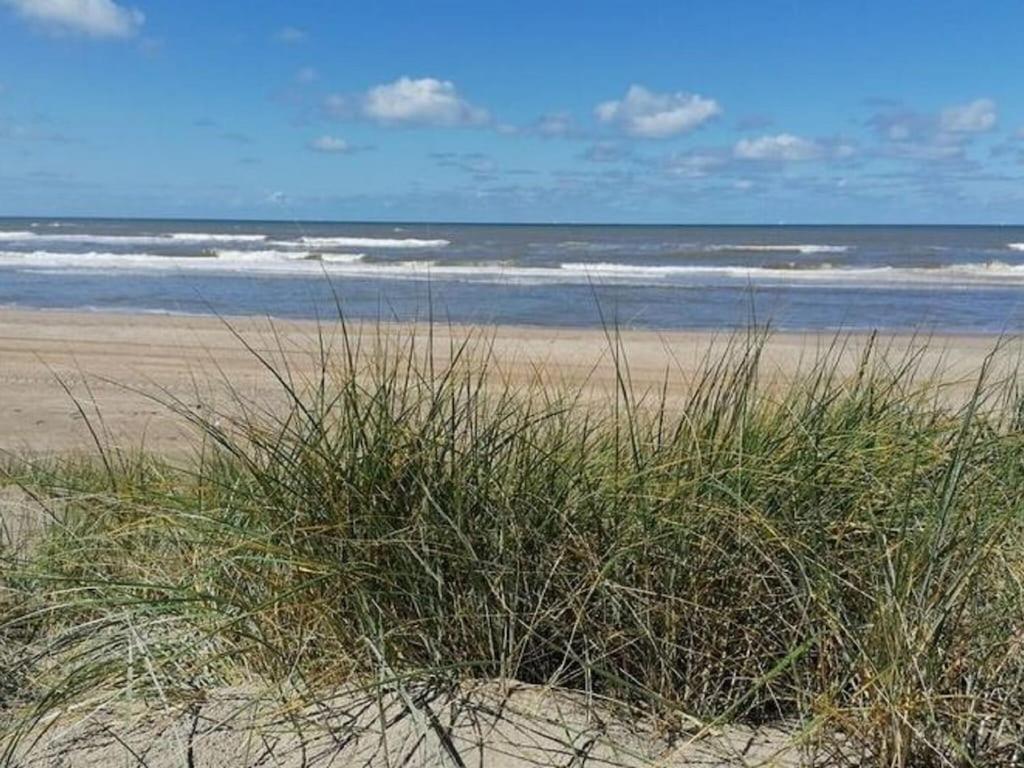 Bright Holiday Home In Noordwijk Near Sea 外观 照片